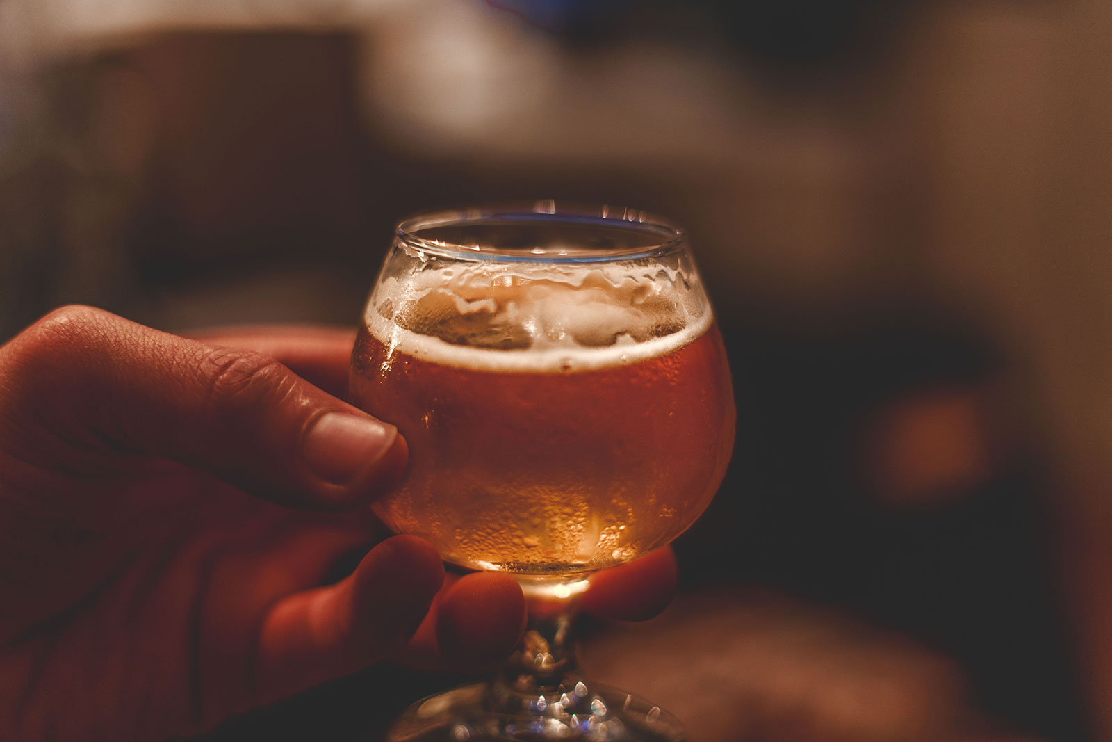 Storia Birra Artigianale