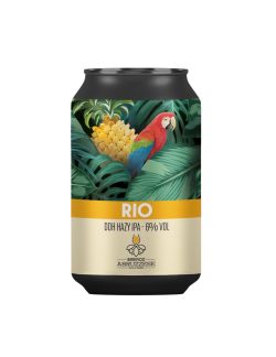 Birrificio Abruzzese Rio Latt.33cl.