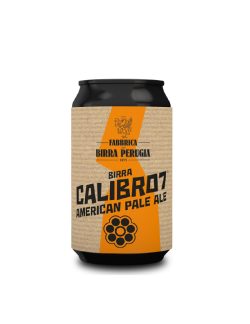Birra Perugia Calibro 7 Latt.33cl.